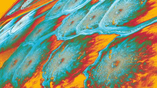 Schlossfestspiele Ludwigsburg