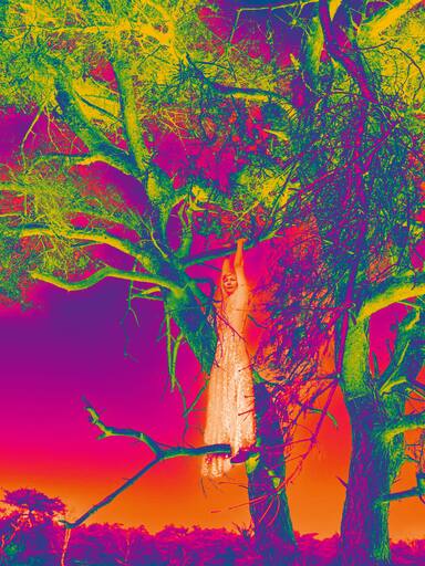 Schlossfestspiele Ludwigsburg