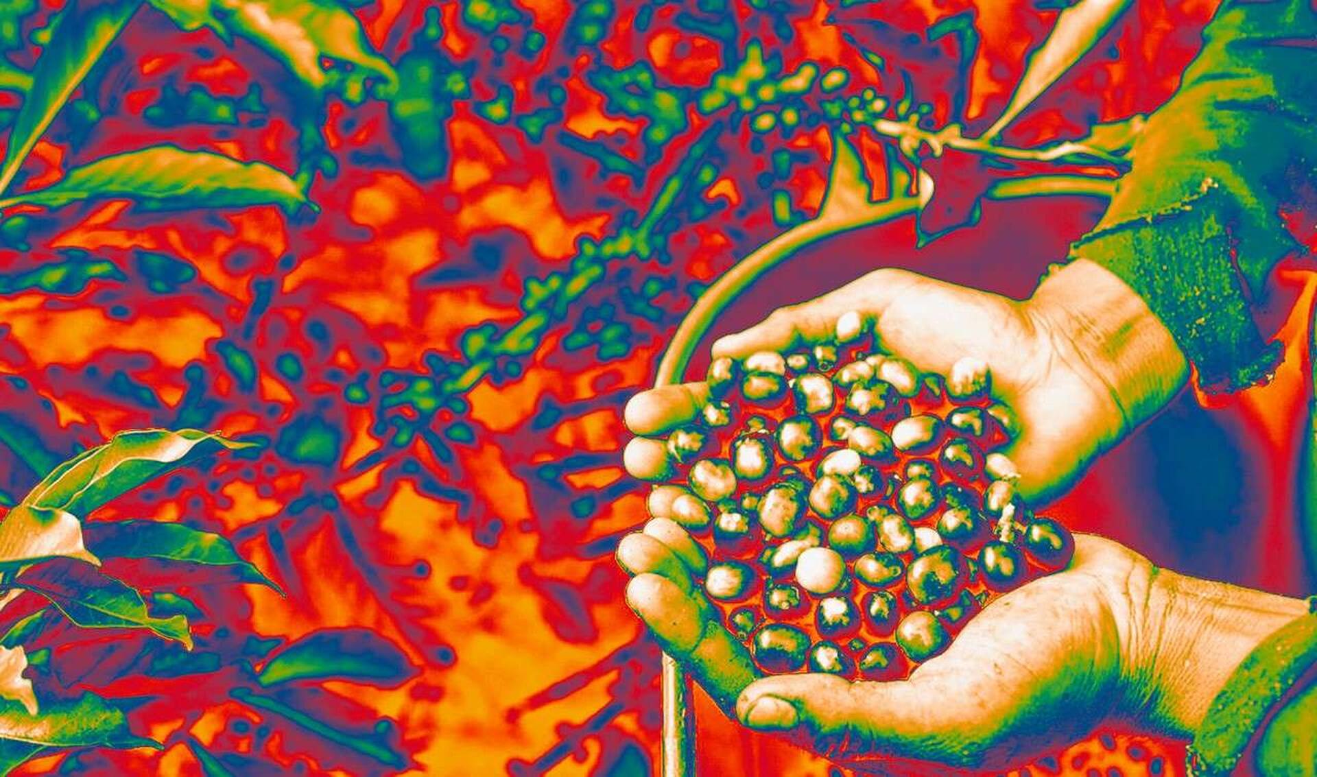 Schlossfestspiele Ludwigsburg