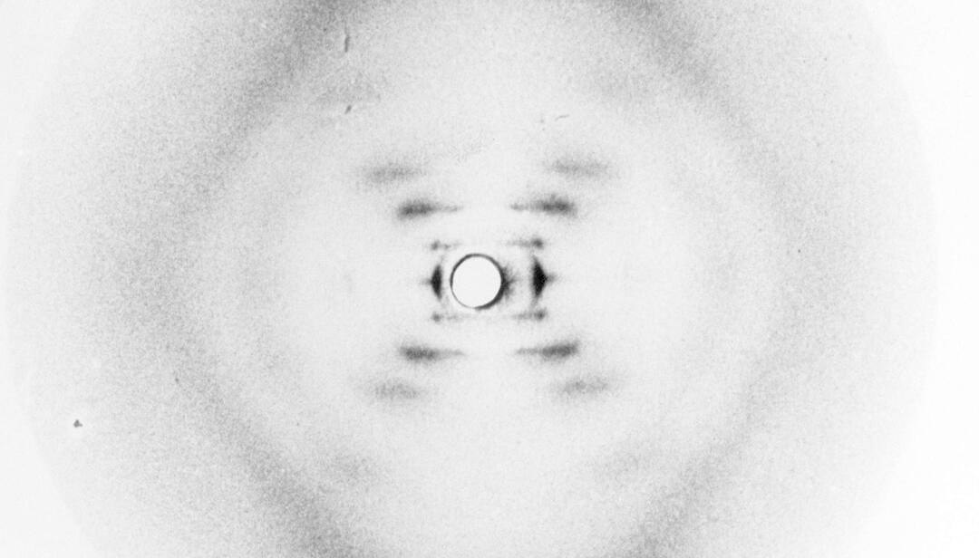 Schlossfestspiele Ludwigsburg