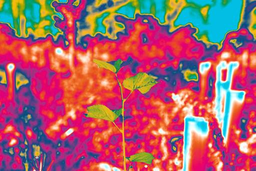 Schlossfestspiele Ludwigsburg